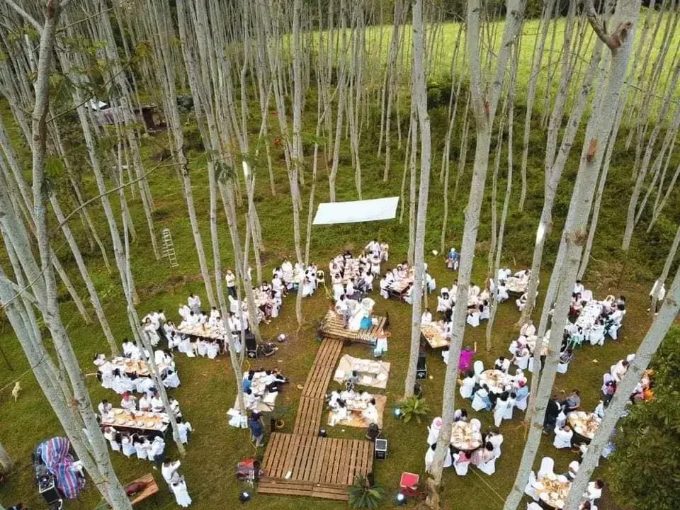 Chill Out Resort Experience
